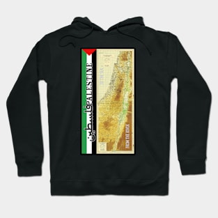 From The River to The Sea. Palestine Hoodie